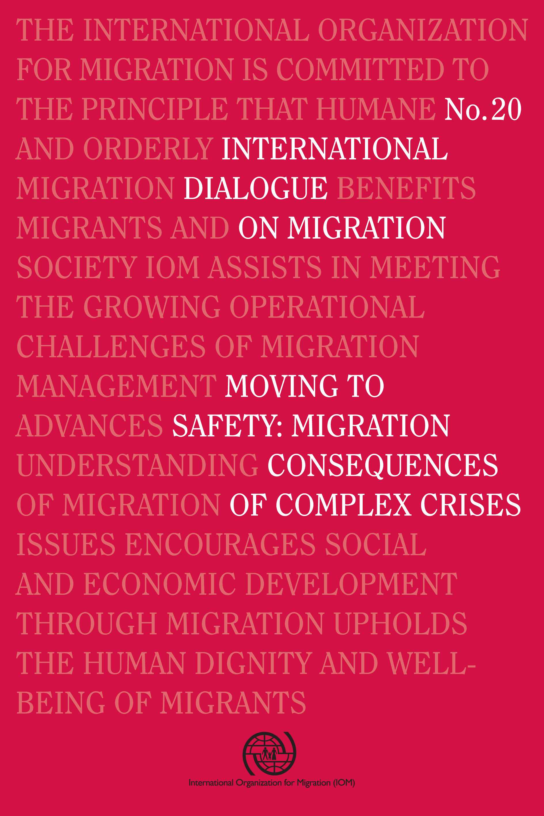 image of International Dialogue on Migration No. 20