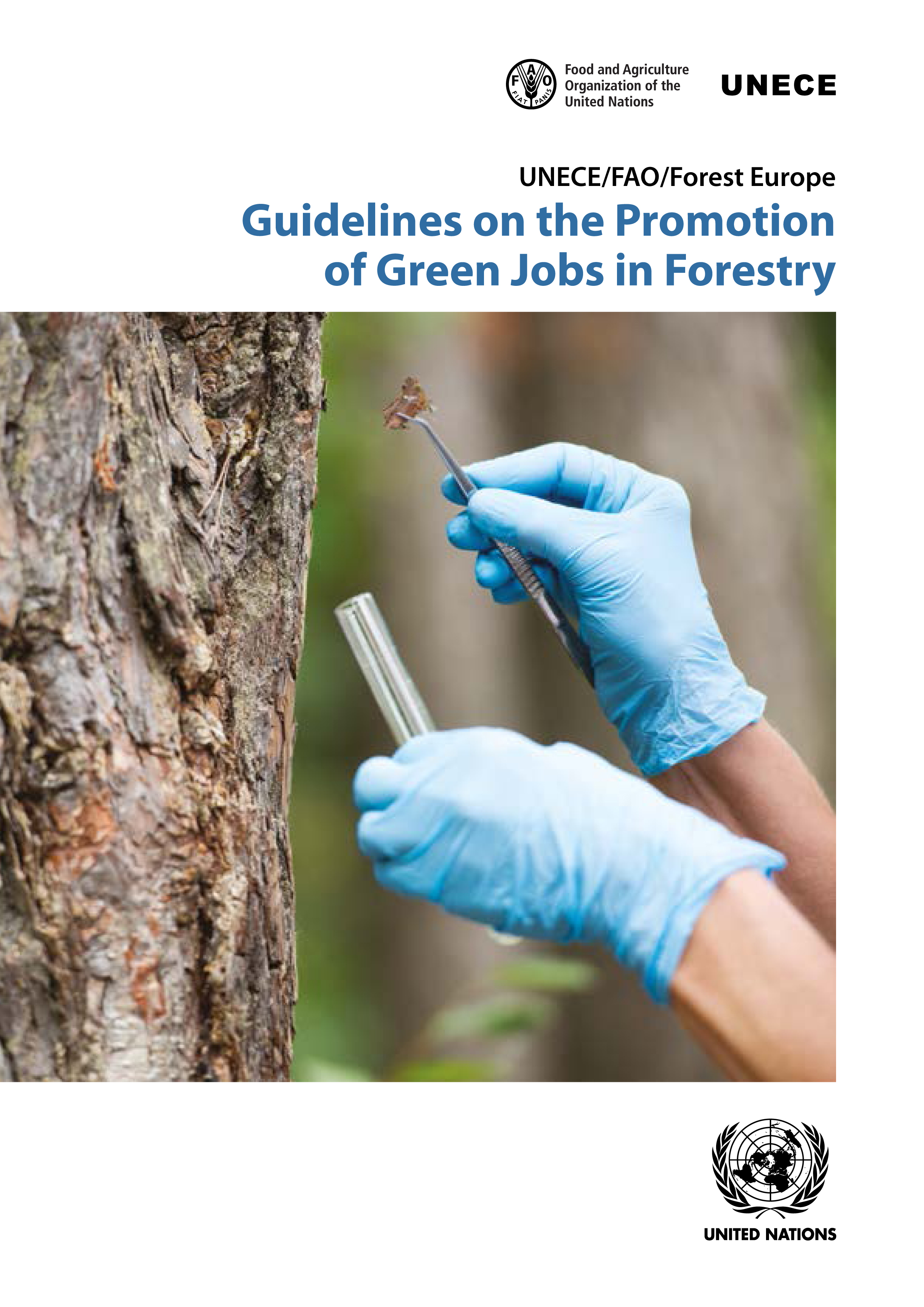 image of Guidelines on the Promotion of Green Jobs in Forestry
