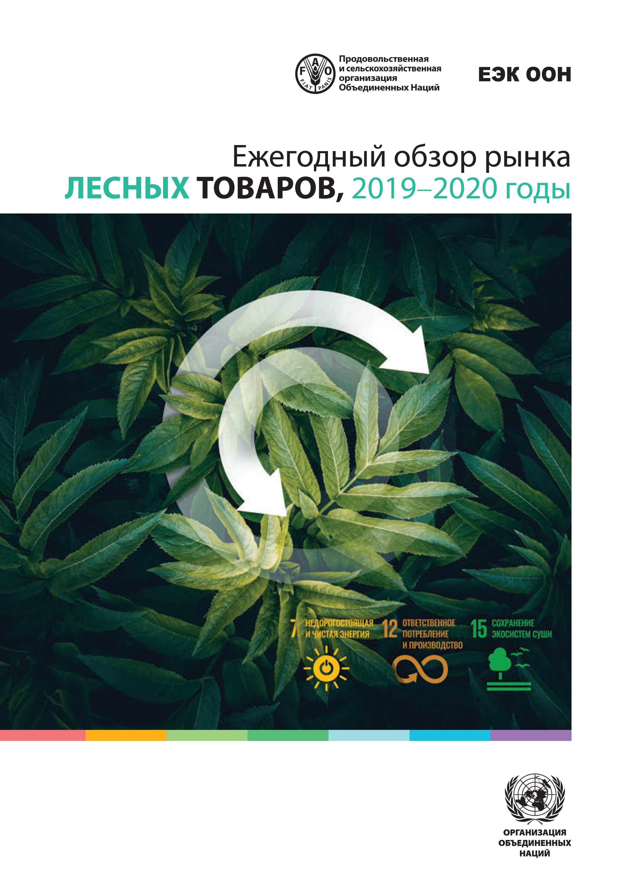 image of Ежегодный обзор рынка лесных товаров, 2019–2020 годы