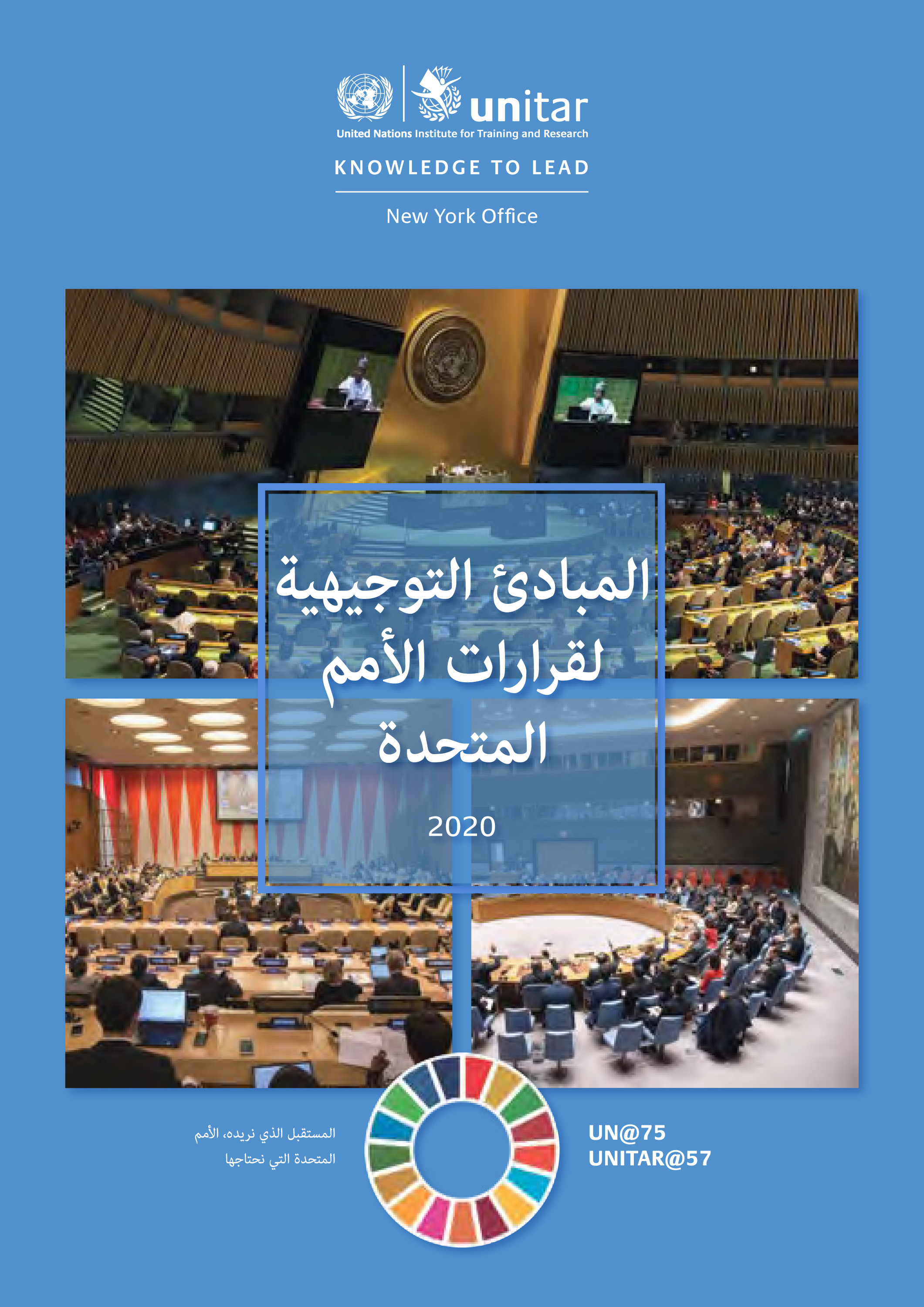 image of المبادئ التوجيهية لقرارات الأمم المتحدة 2020