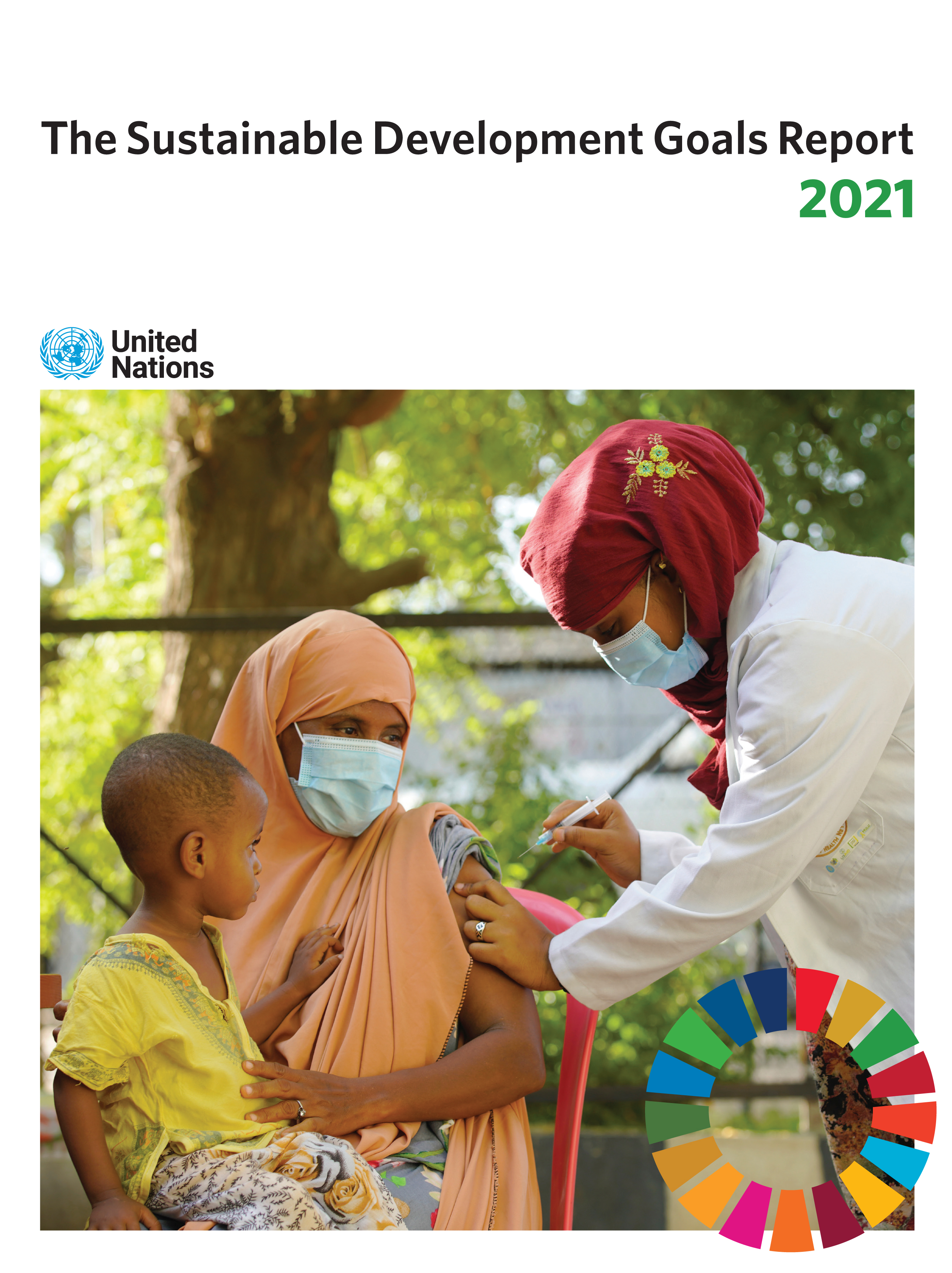 image of The Sustainable Development Goals Report 2021