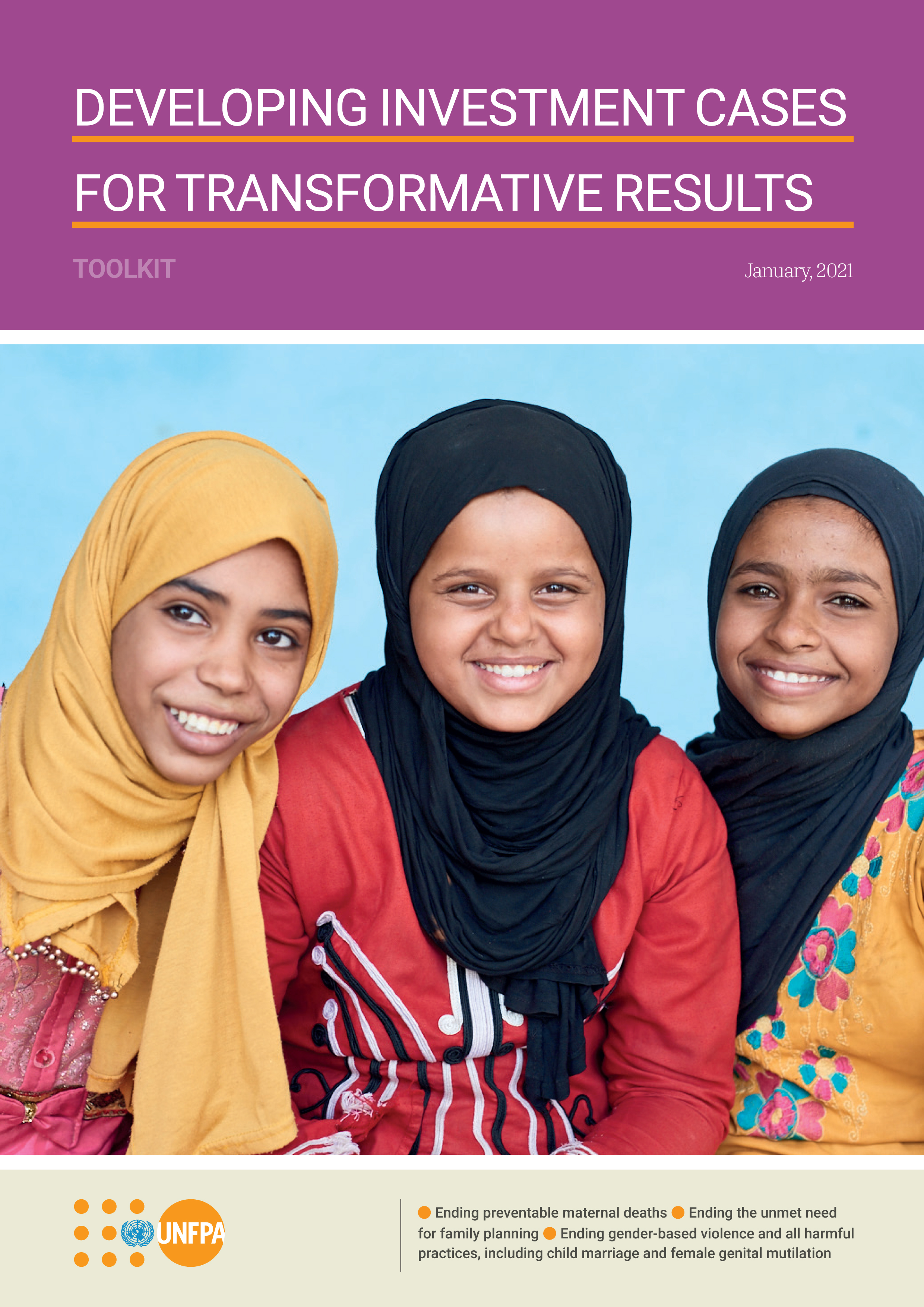 image of Developing Investment Cases for Transformative Results – Toolkit