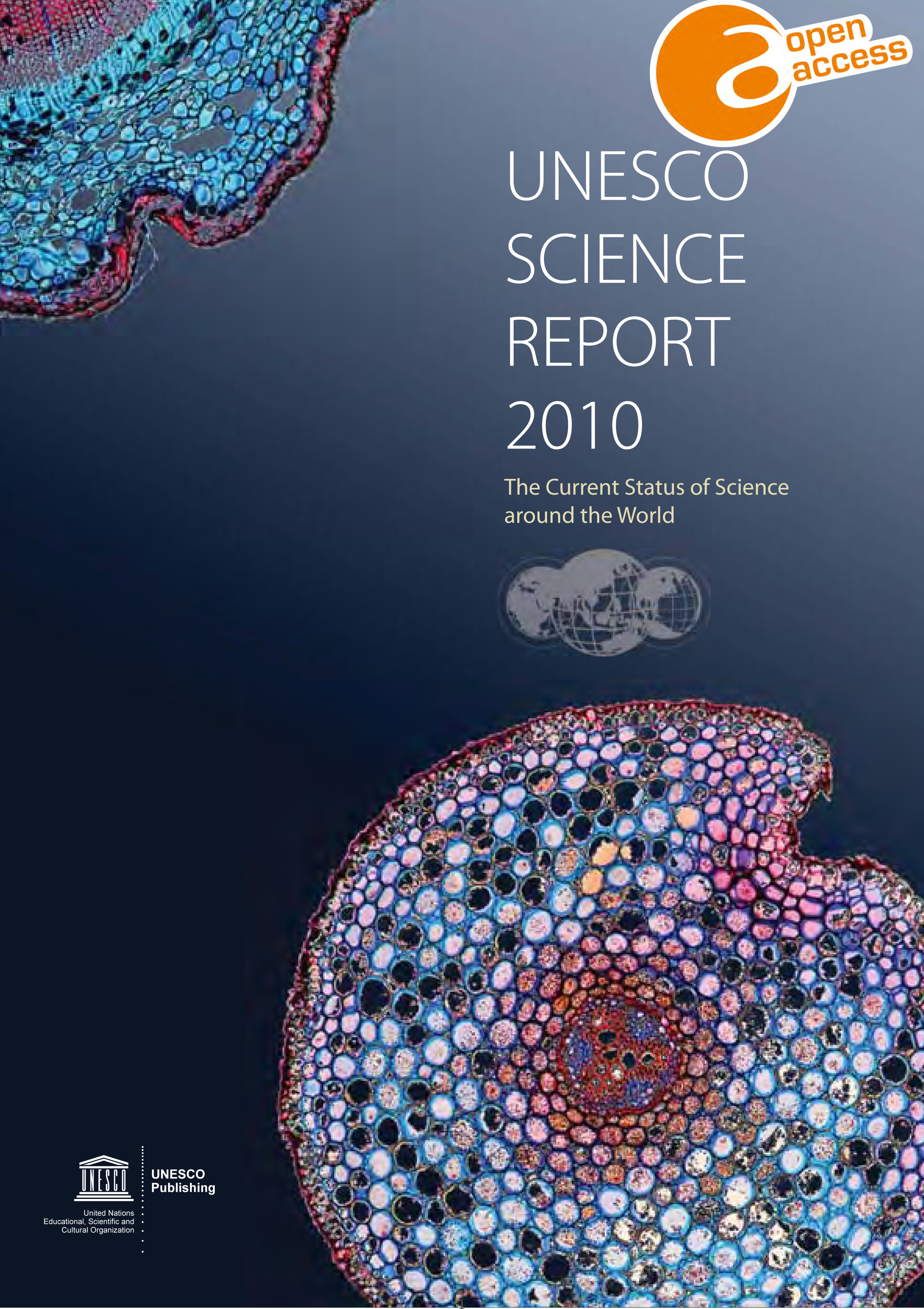image of UNESCO Science Report 2010