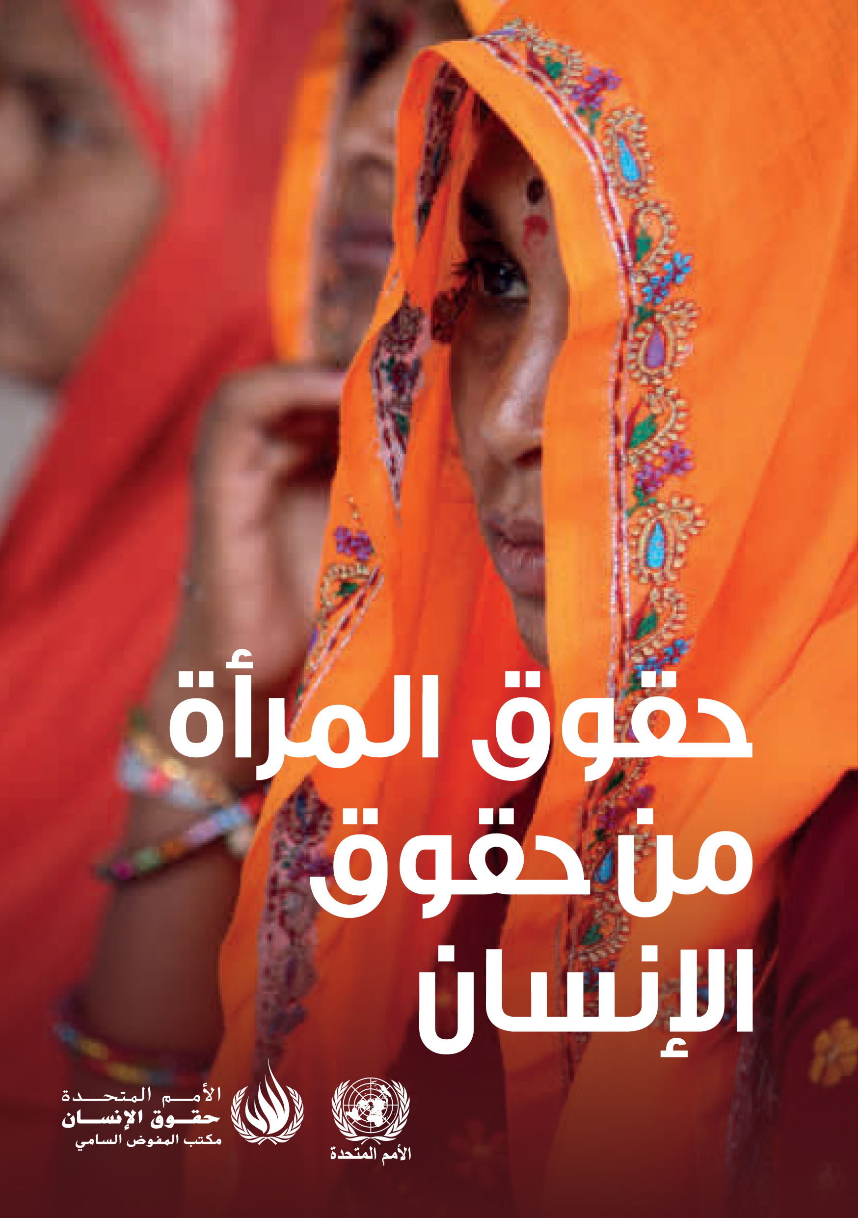 image of حماية حقوق الإنسان للمرأة بموجب القانون الدولي