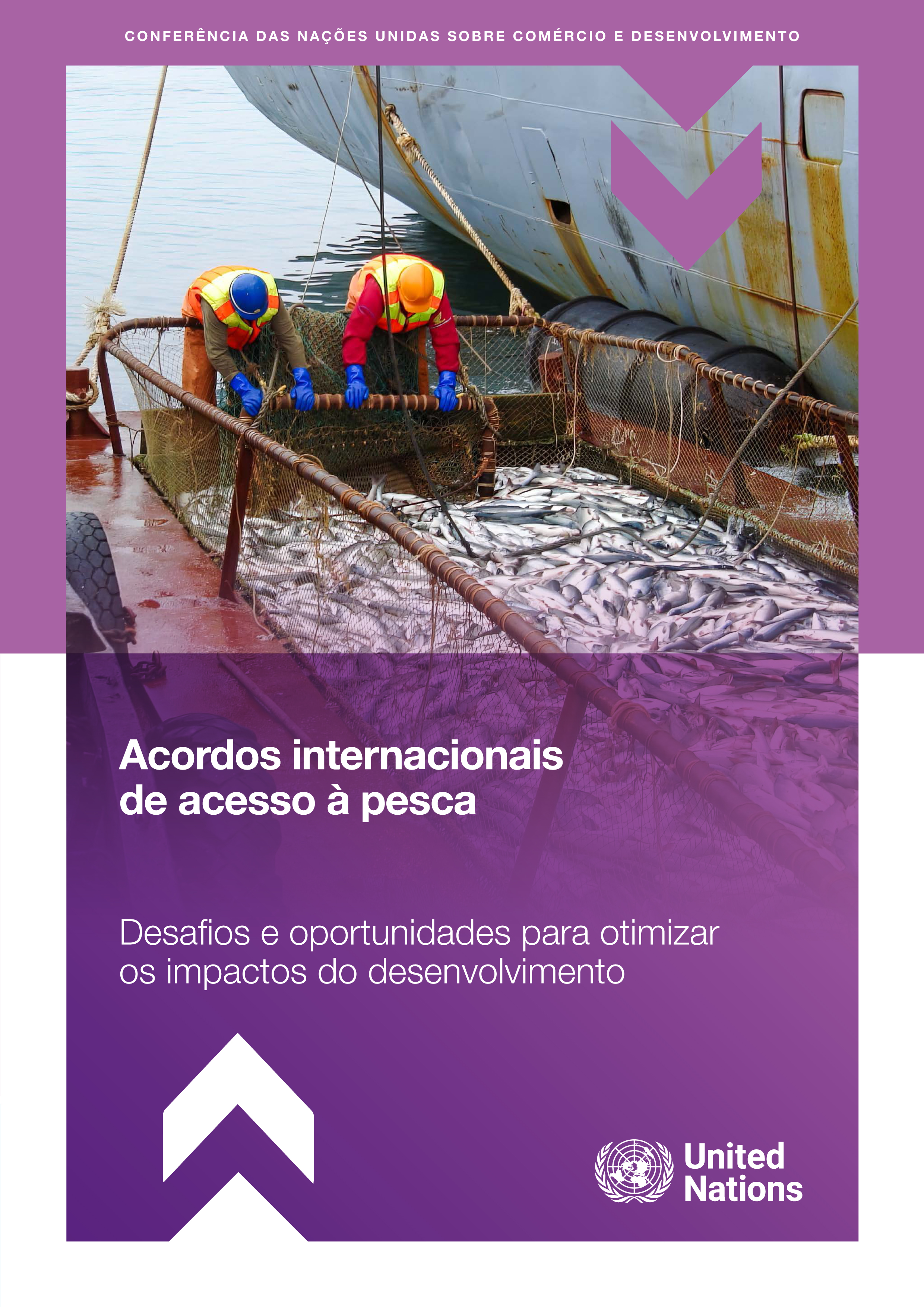 image of Conclusões e recomendações