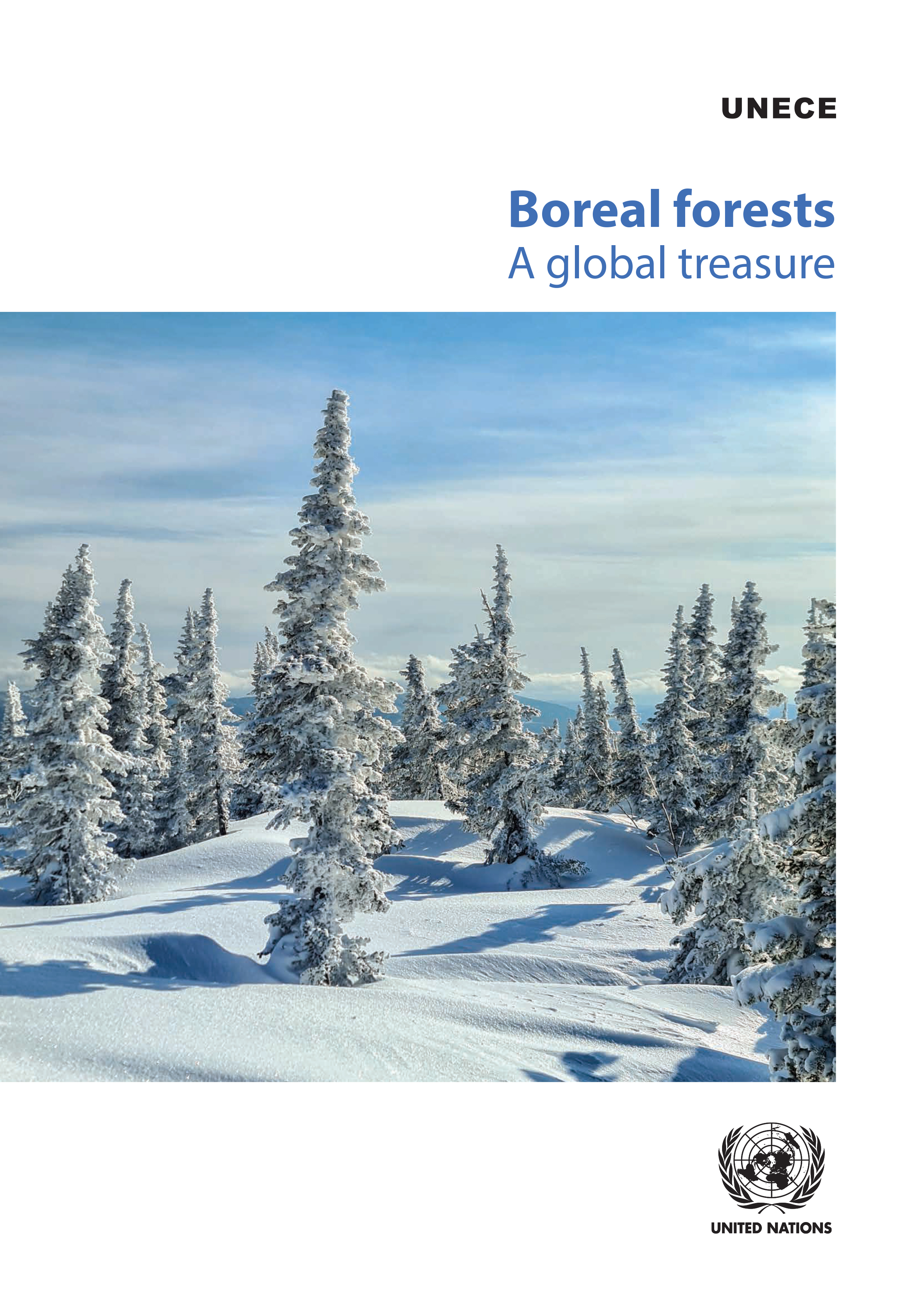 image of Boreal Forests: A Global Treasure