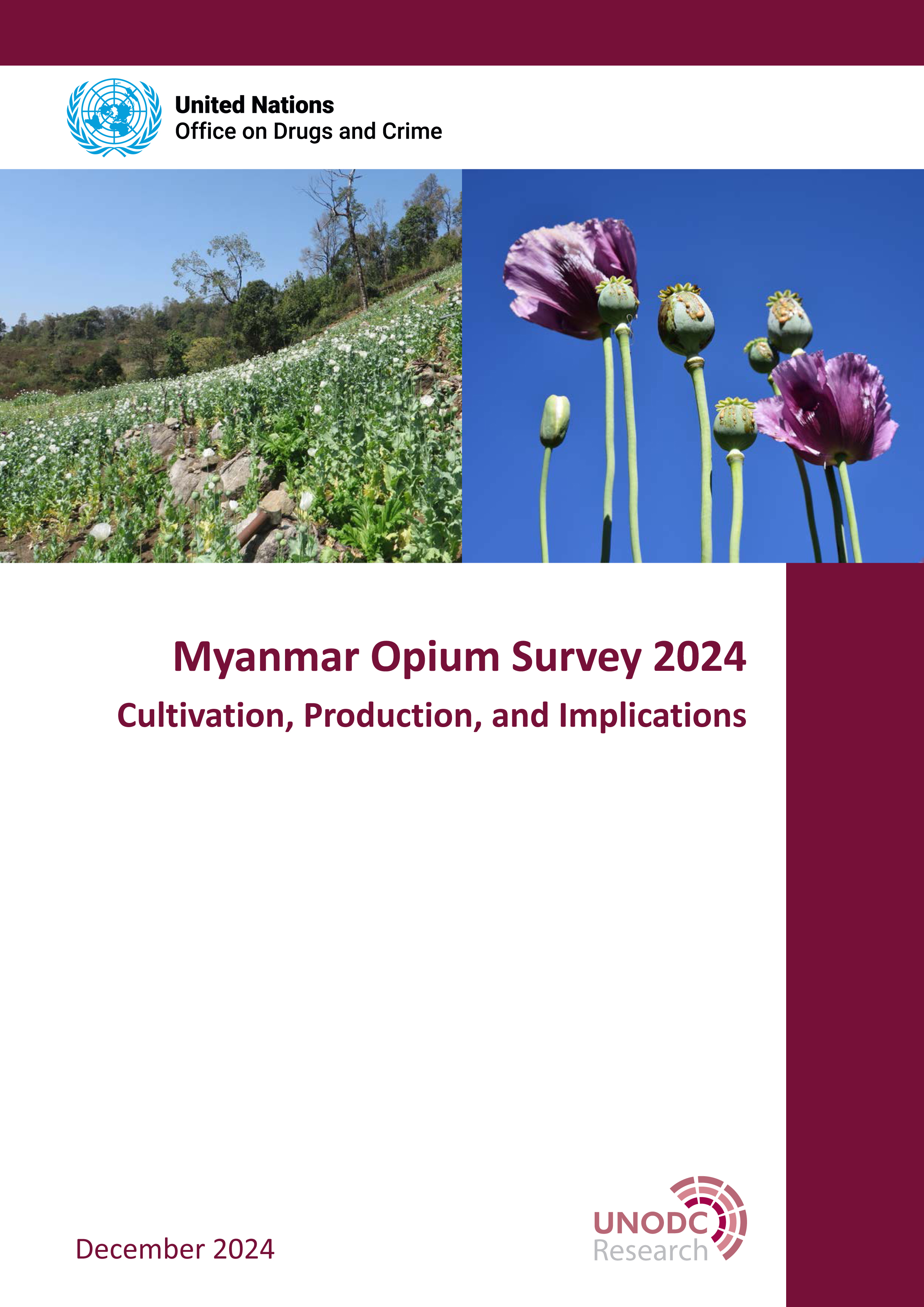 Myanmar Opium Survey 2024 Myanmar Opium Survey 2024