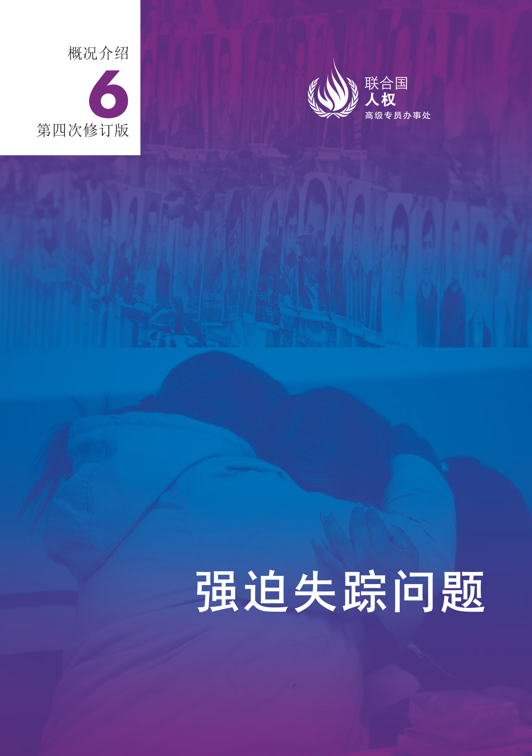 image of 概况介绍 第四次修订版 6