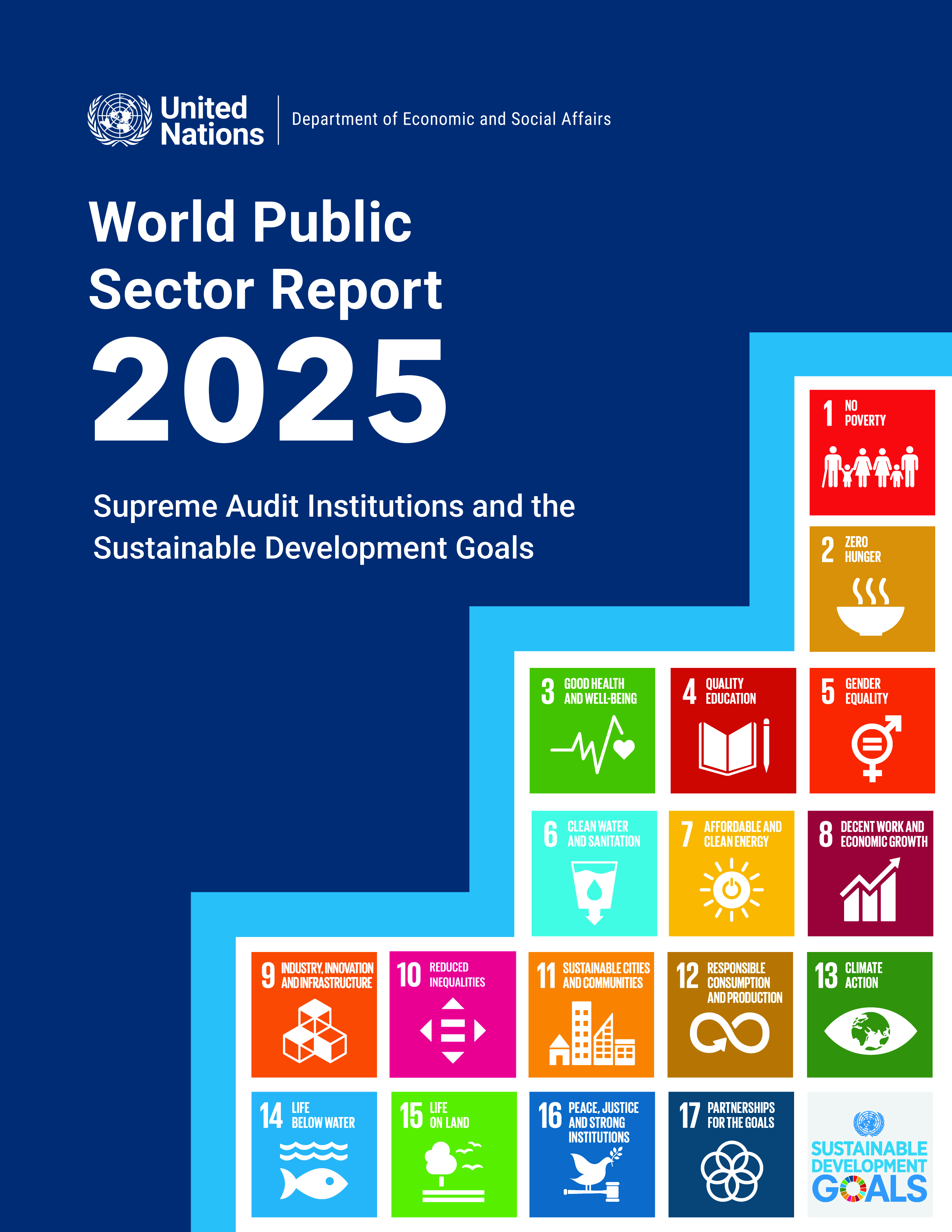 image of World Public Sector Report 2025