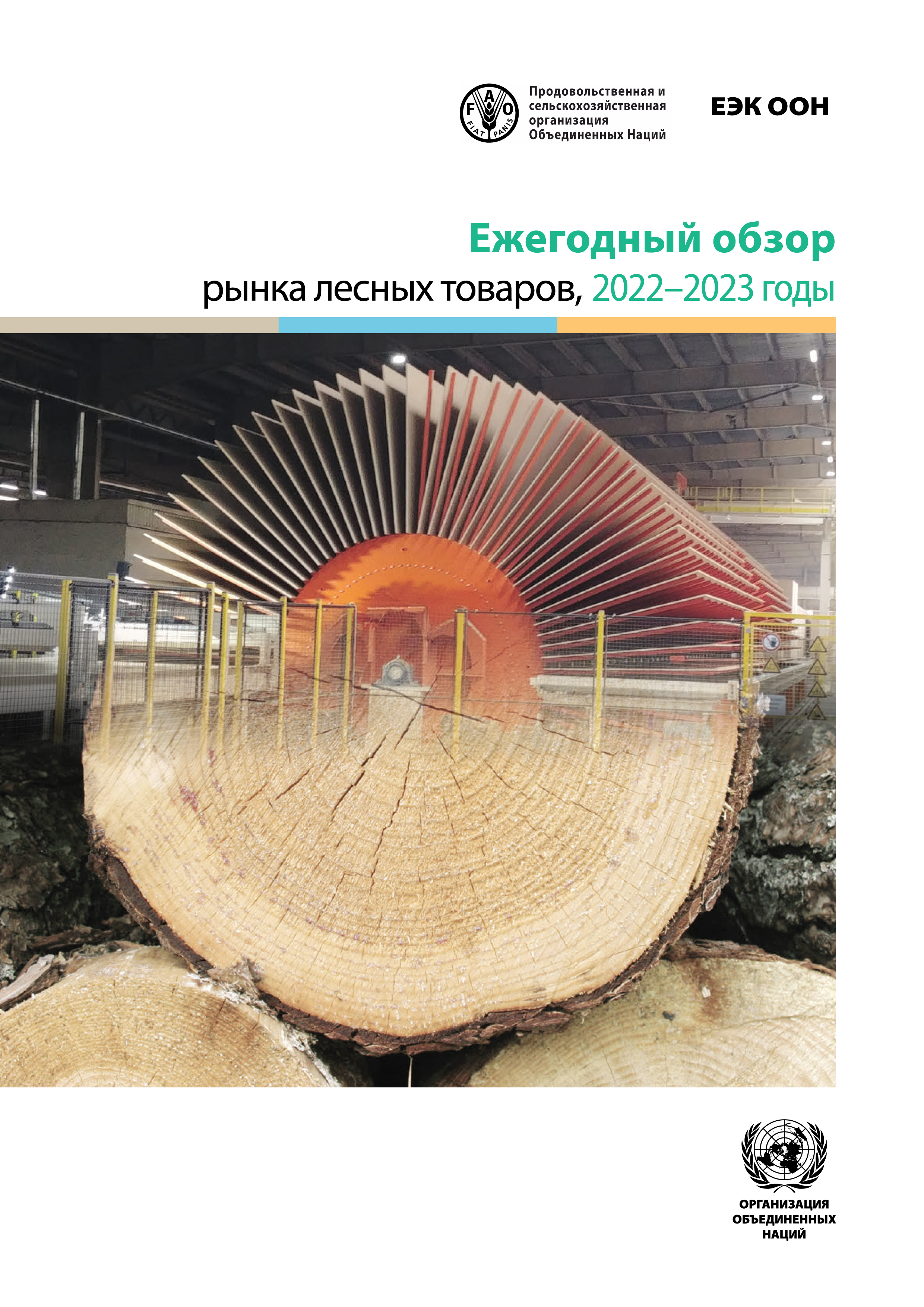 image of Ежегодный обзор рынка лесных товаров, 2022-2023 гг.