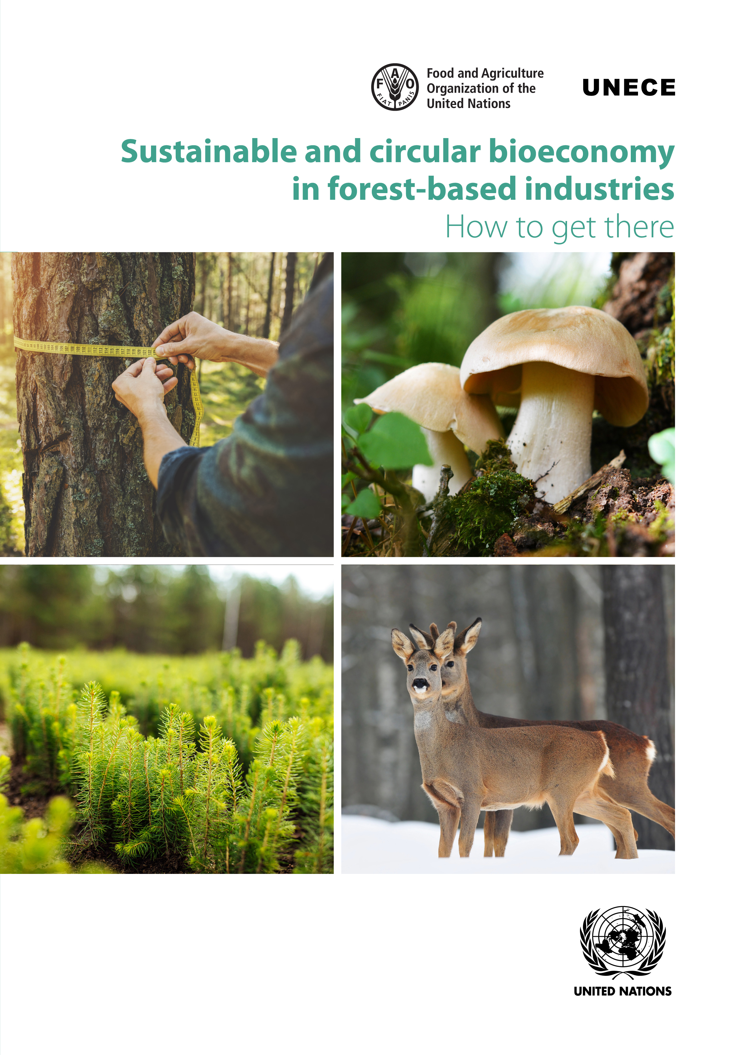 image of Sustainable and Circular Bioeconomy in Forest-based Industries: How to Get There