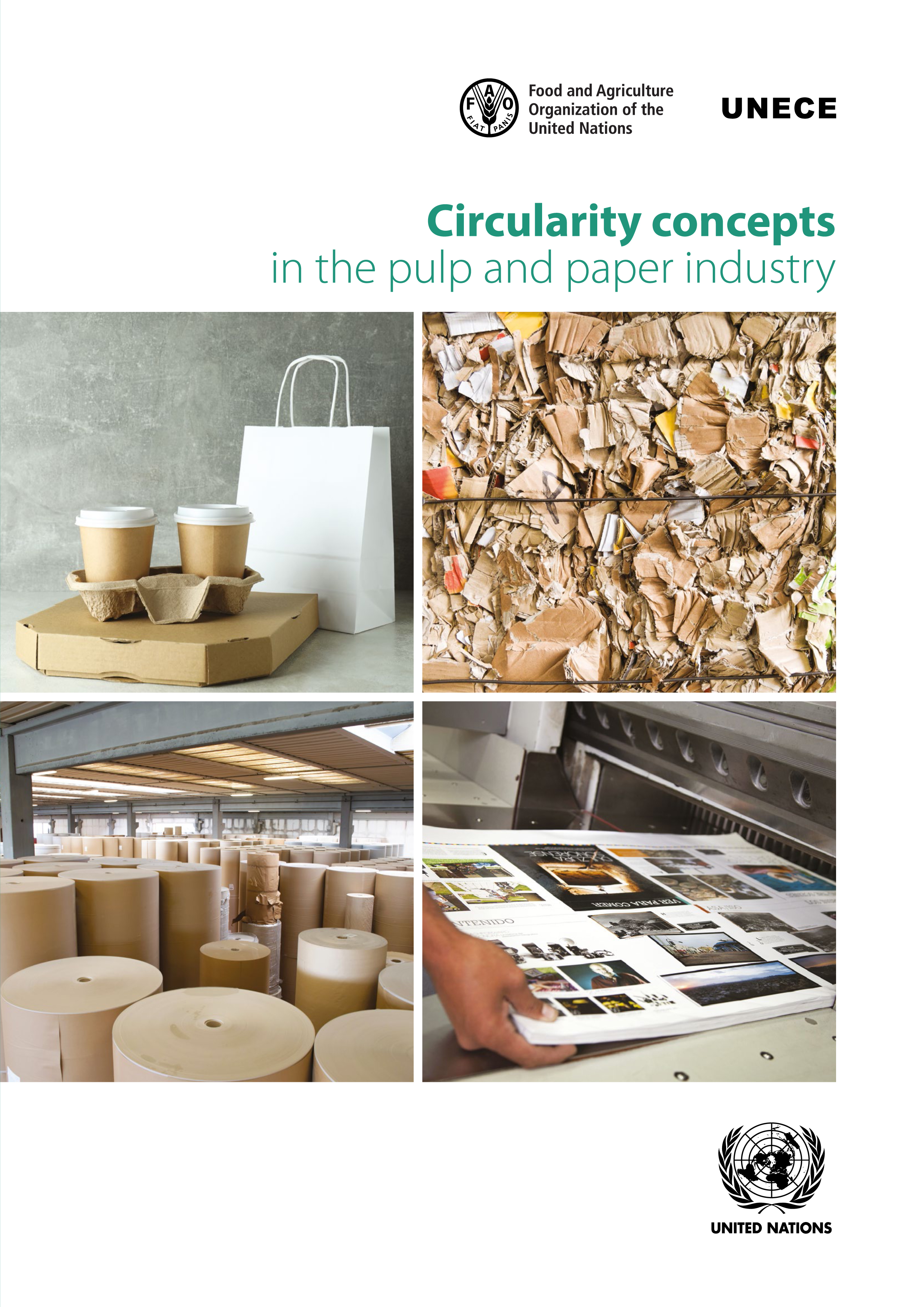 image of Circularity Concepts in the Pulp and Paper Industry