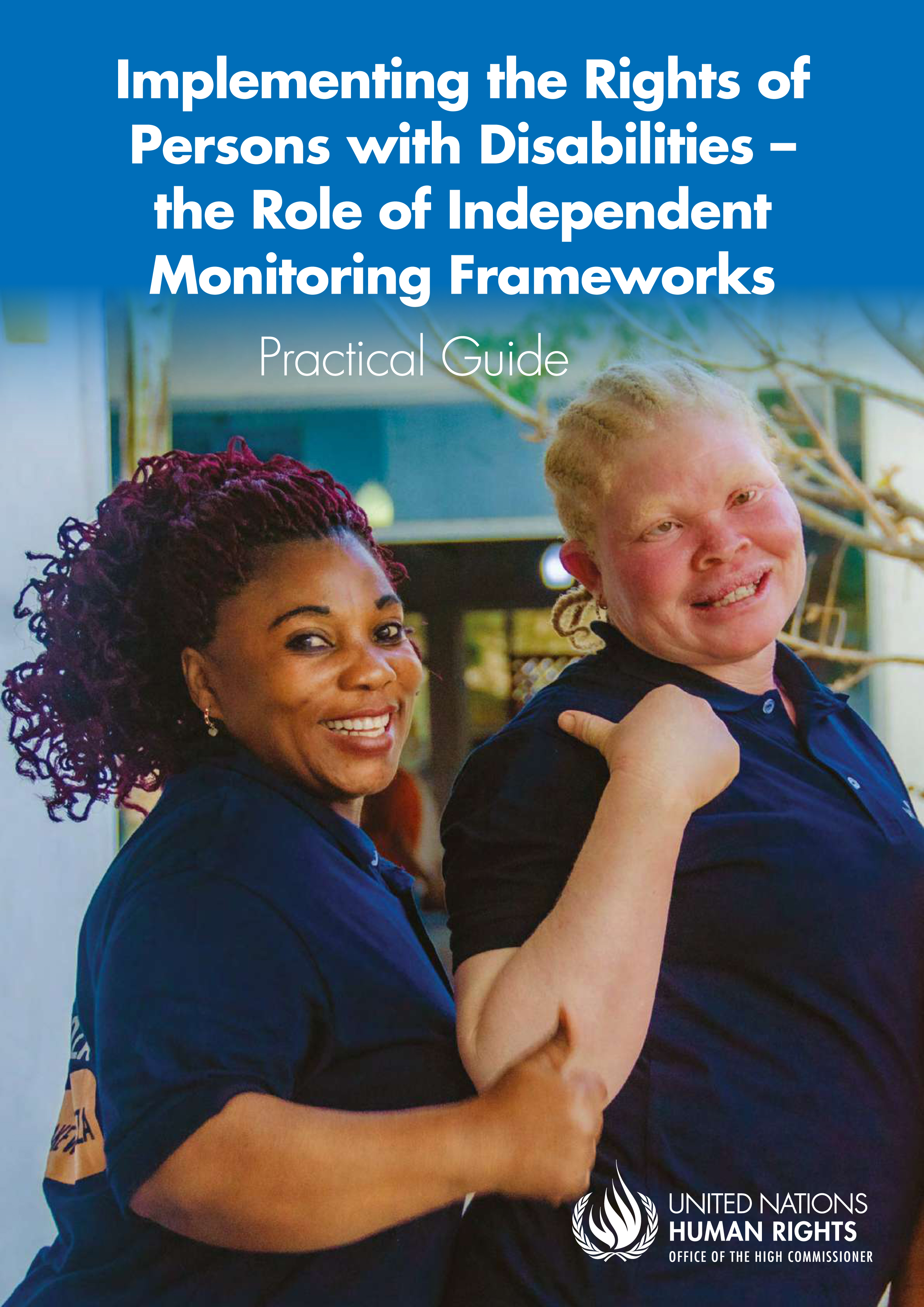 image of Implementing the Rights of Persons with Disabilities – the Role of Independent Monitoring Frameworks