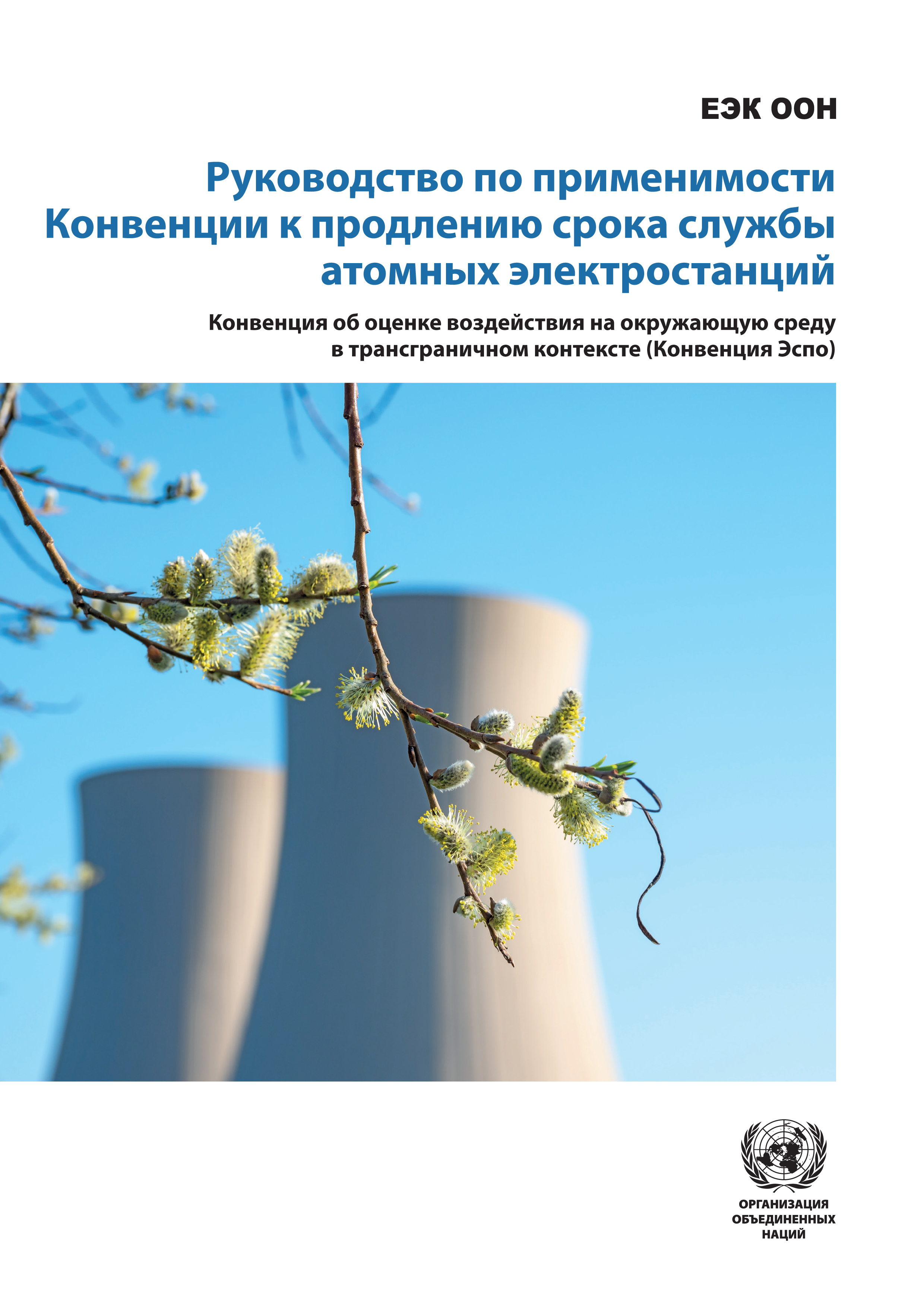 image of Руководство по применимости конвенции к продлению срока службы атомных электростанций
