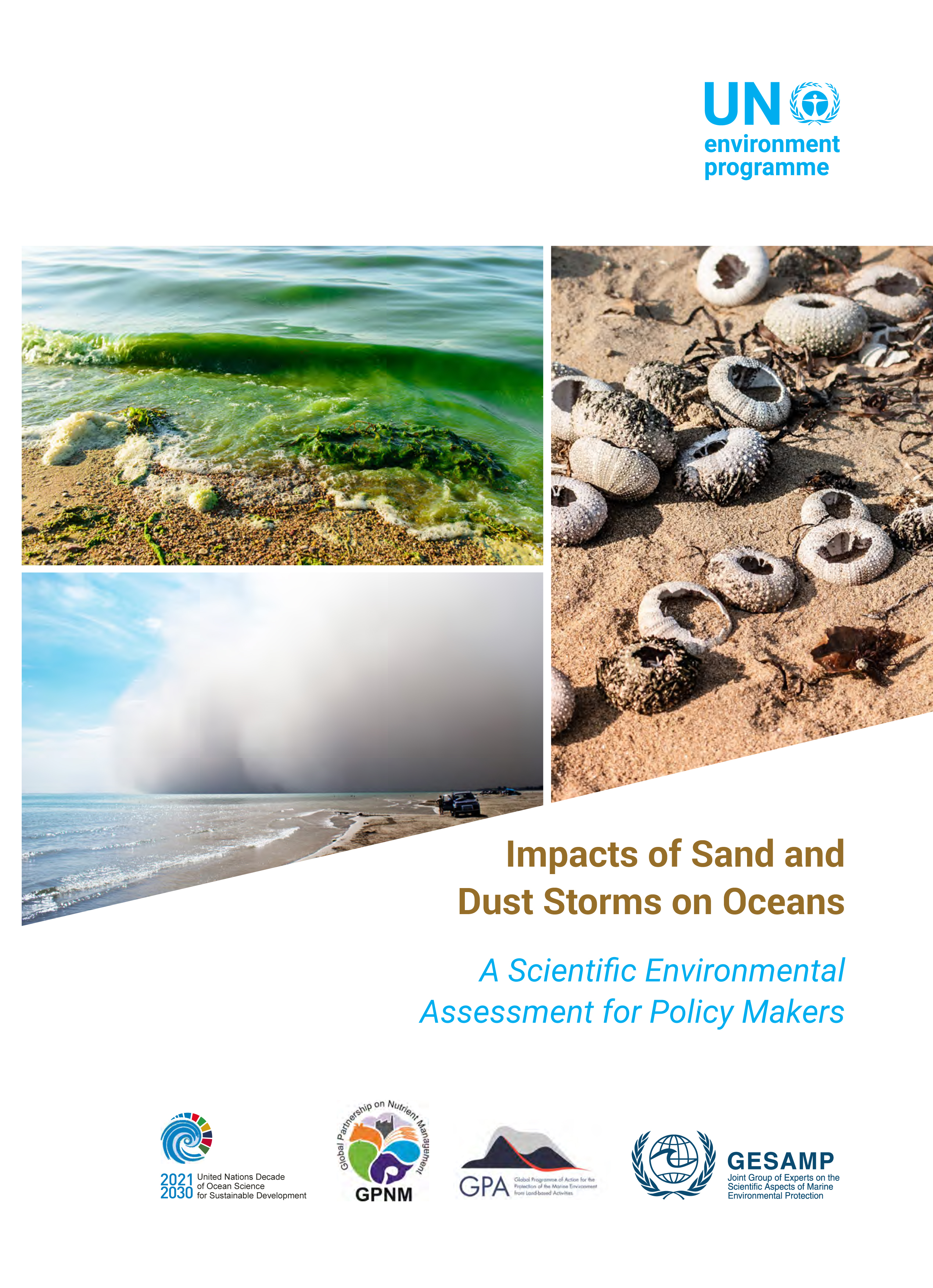 image of Impacts of Sand and Dust Storms on Oceans