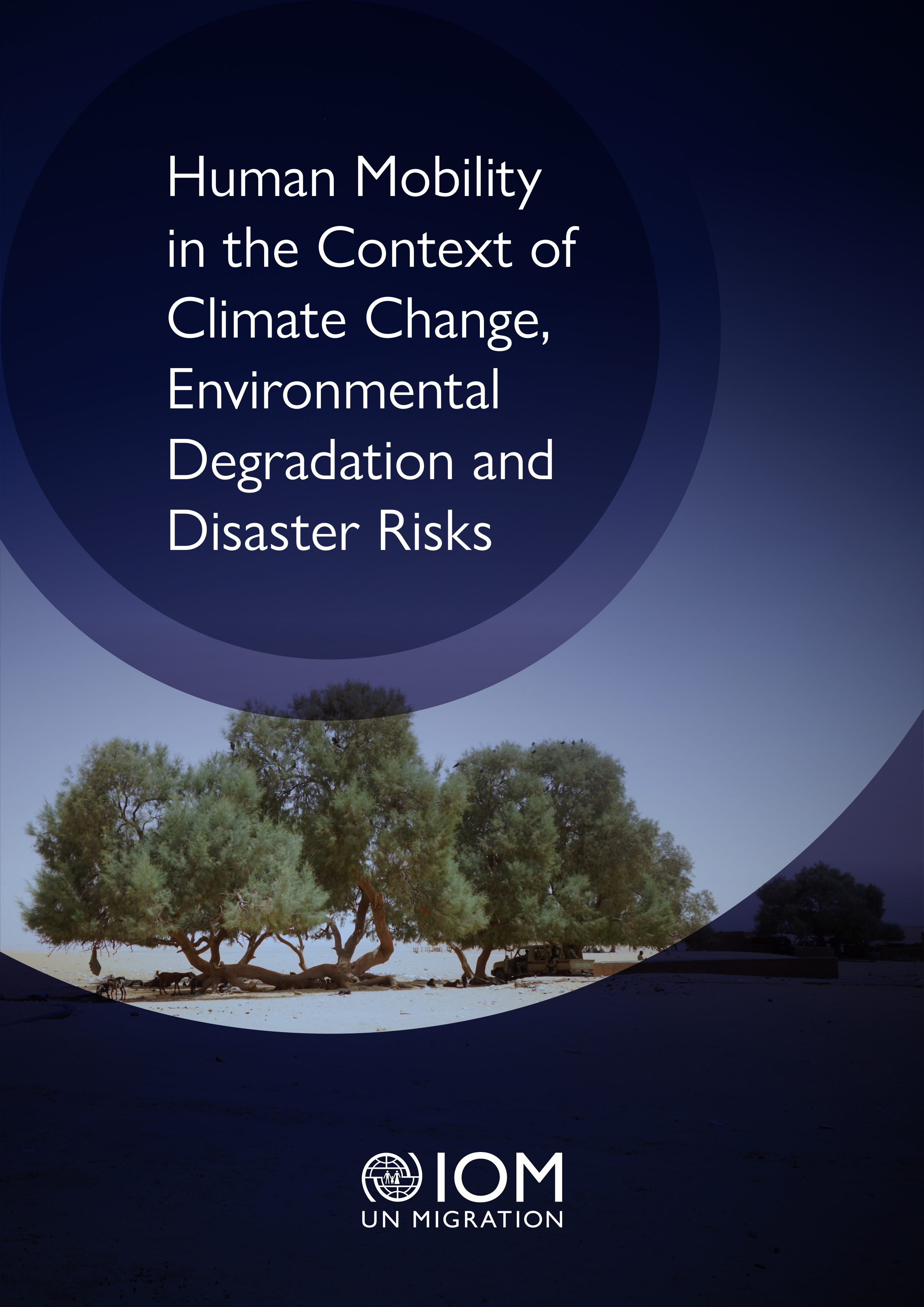 image of Executive summary