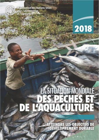 image of La situation mondiale des pêches et de l'aquaculture 2018