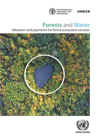 image of The enabling environment for forests and water