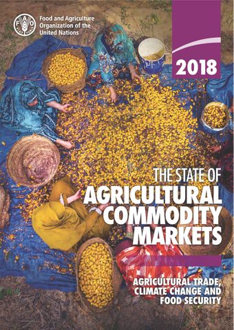 image of Agricultural trade and climate change: exploring the policy space