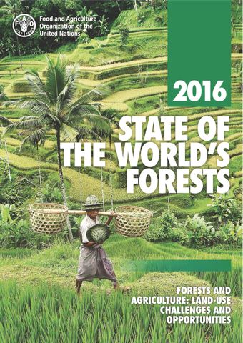 image of The State of the World’s Forests 2016