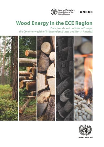 image of Outlook for future wood fuel markets