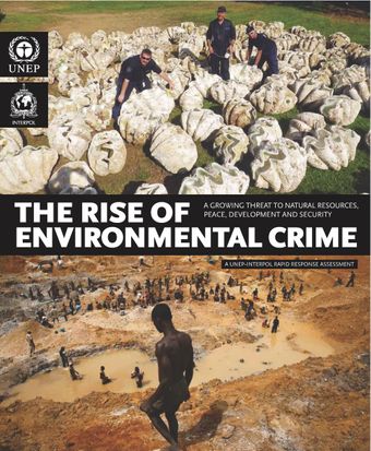 image of Environmental crime and threat finance to terrorism and conflicts