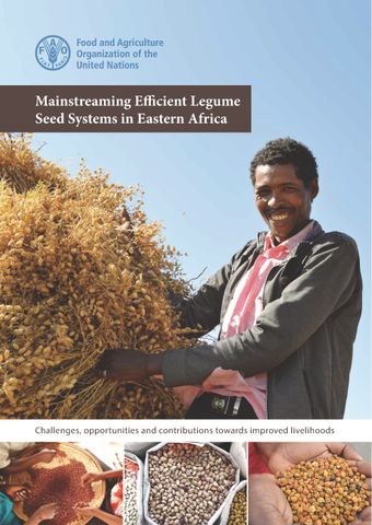 image of Twelve principles in mainstreaming efficient legume seed systems in Eastern Africa