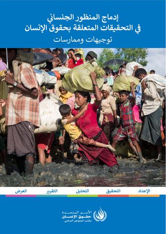 image of إدماج المنظور الجنسافي في التحقيقات المتعلقة بحقوق الإنسان