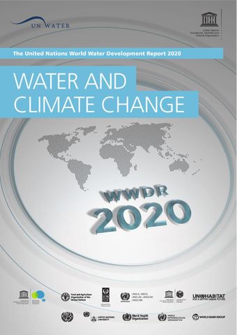 image of The United Nations World Water Development Report 2020